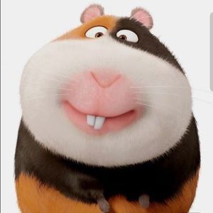 Meet your Posher, Cesar